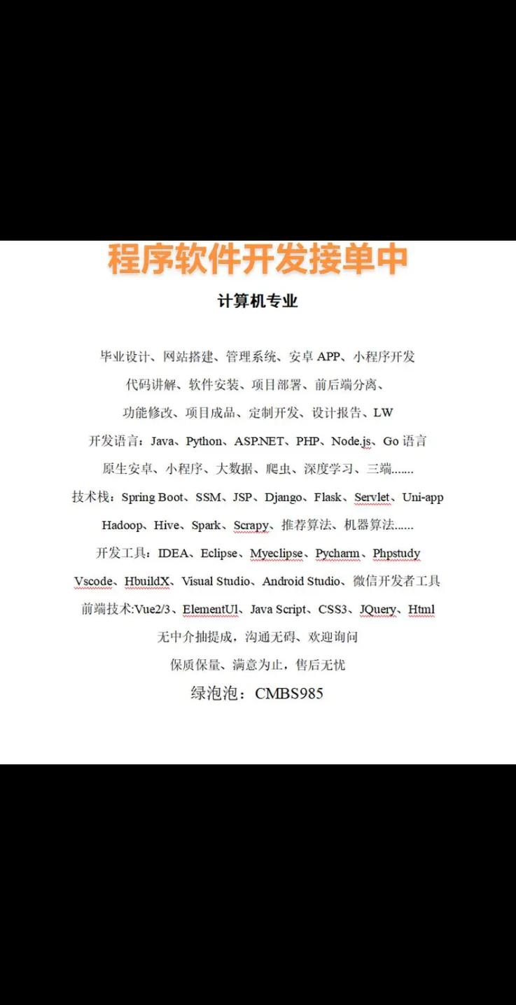計算機畢業設計項目 從代碼到軟件的完整開發指南